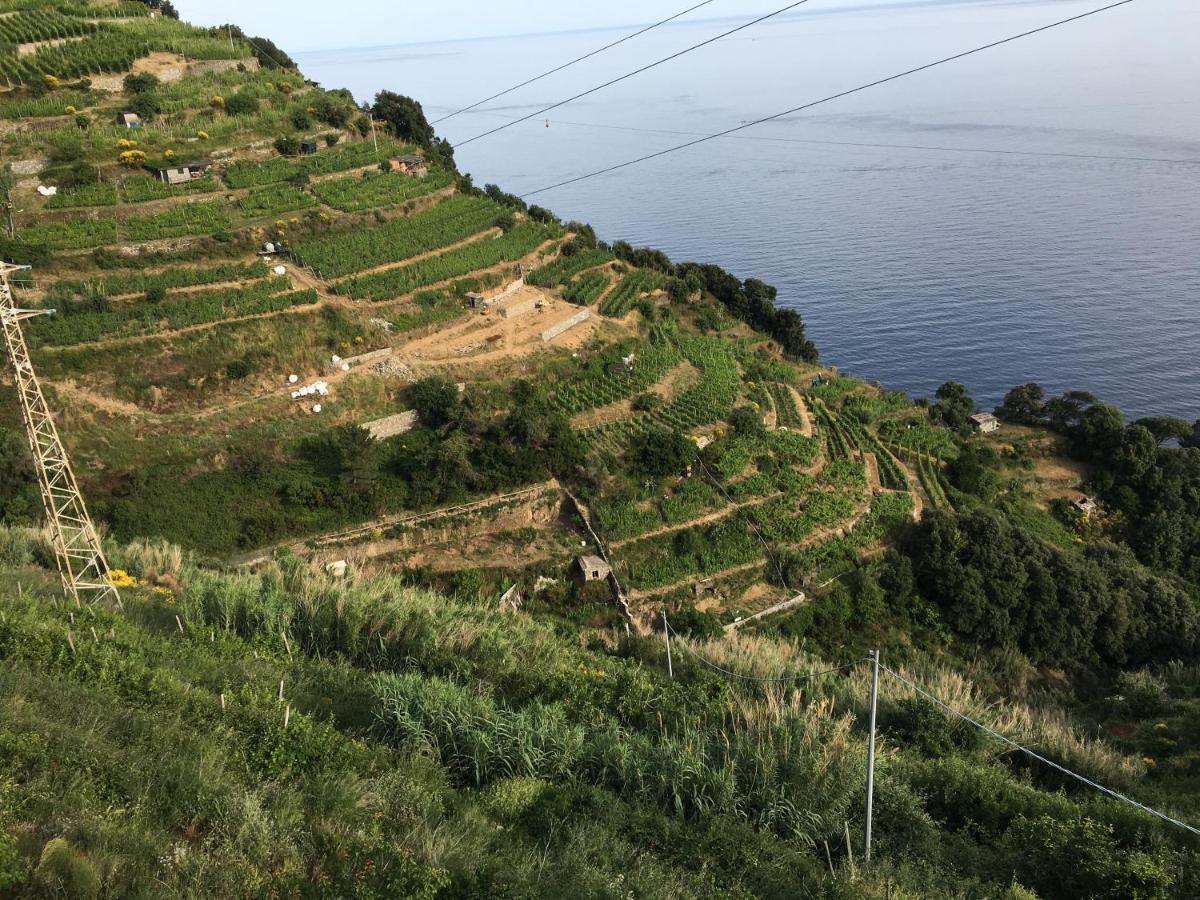 Le Cinque Vele ***** Cinque Terre Apartment Монтеросо ал Маре Екстериор снимка