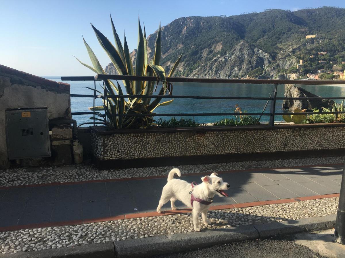Le Cinque Vele ***** Cinque Terre Apartment Монтеросо ал Маре Екстериор снимка